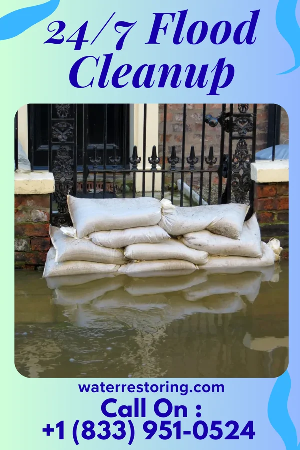 24/7 Flood Cleanup in Bellevue, MI