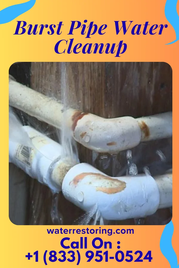 Burst Pipe Water Cleanup in Bellevue, MI