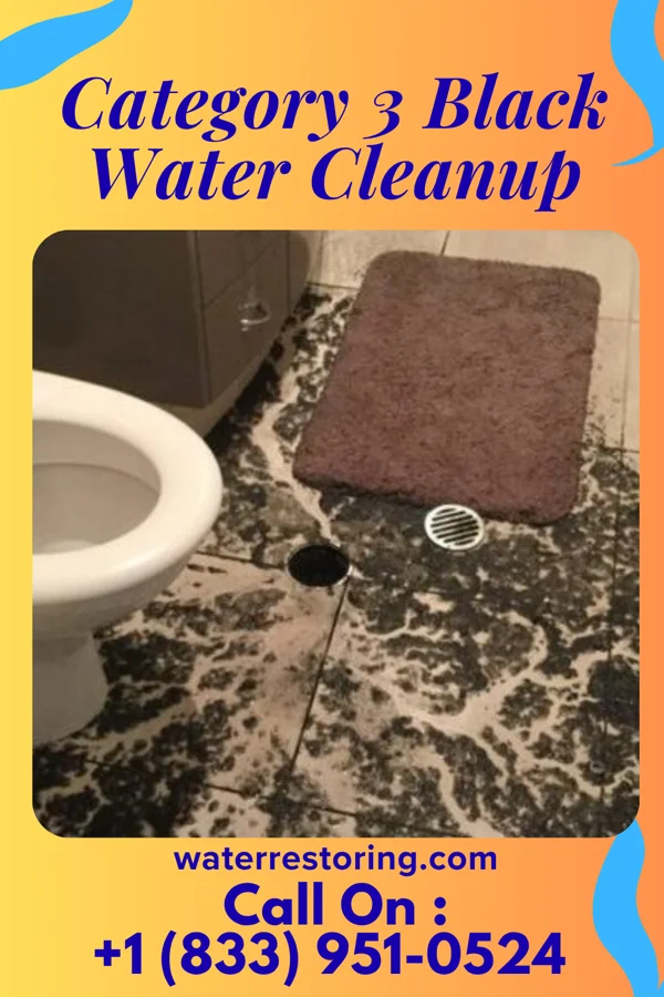 Category 3 Black Water Cleanup in Bellevue, MI