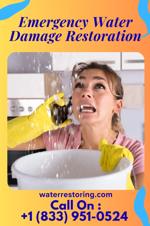Emergency Water Damage Restoration in Bellevue, MI