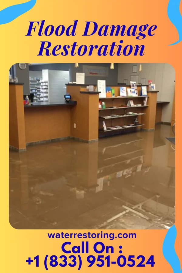 Flood Damage Restoration in Bellevue, MI