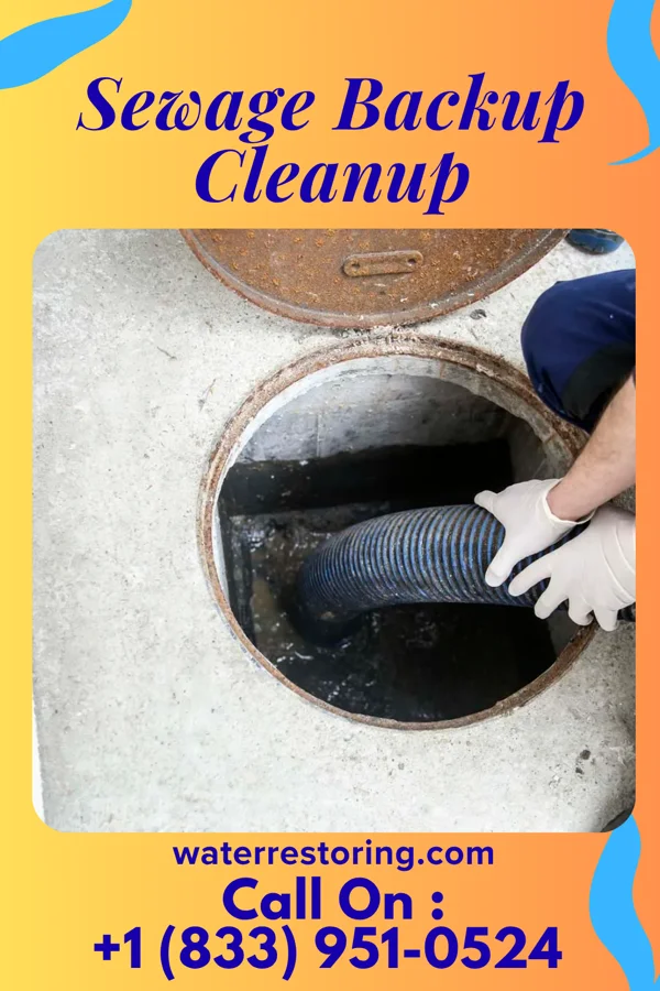 Sewage Backup Cleanup in Bellevue, MI