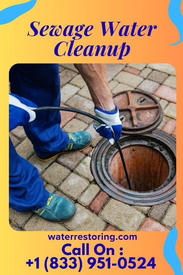 Sewage Water Cleanup in Bellevue, MI