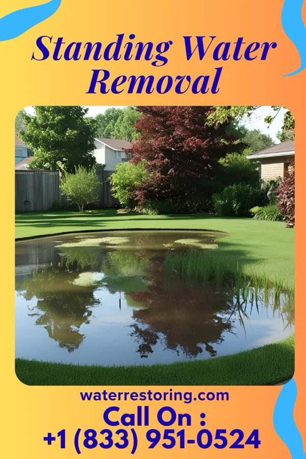 Standing Water Removal in Bellevue, MI